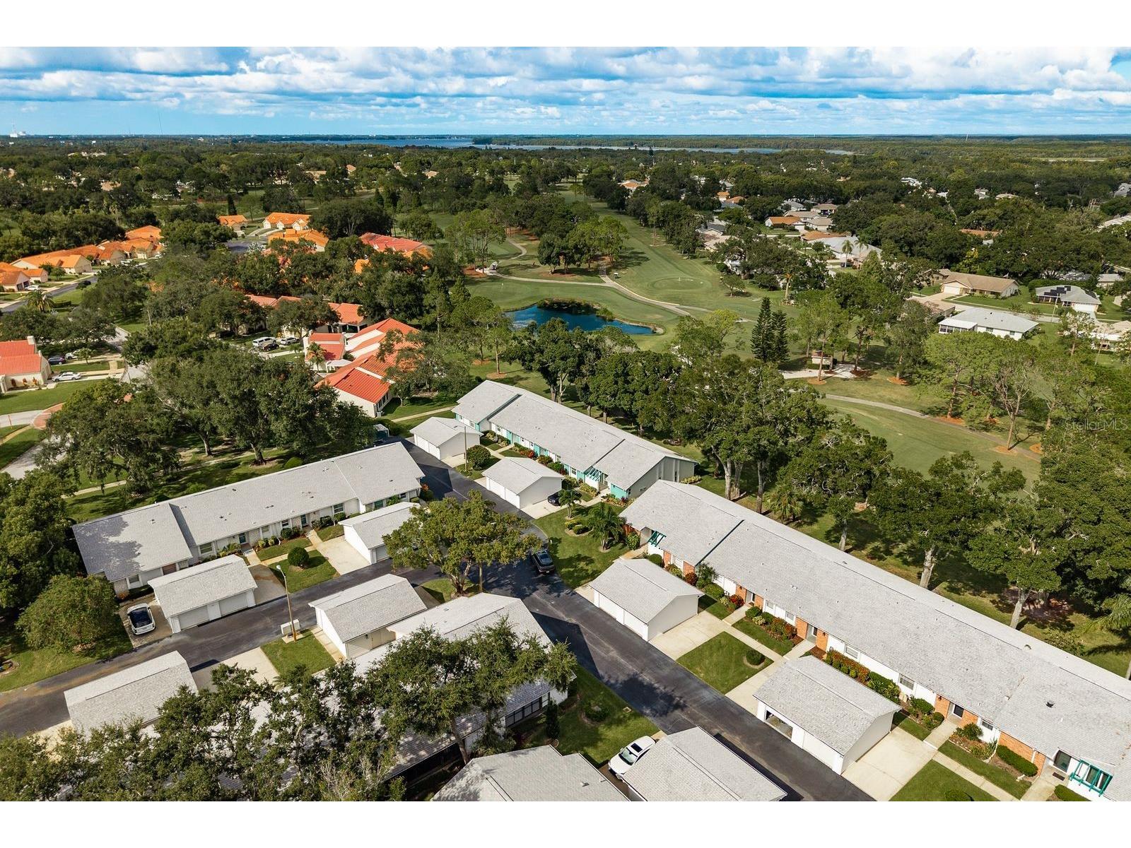 1109 Tartan Drive #C Palm Harbor FL 34684 - LAKE TARPON ACCESS TB8433661 image43