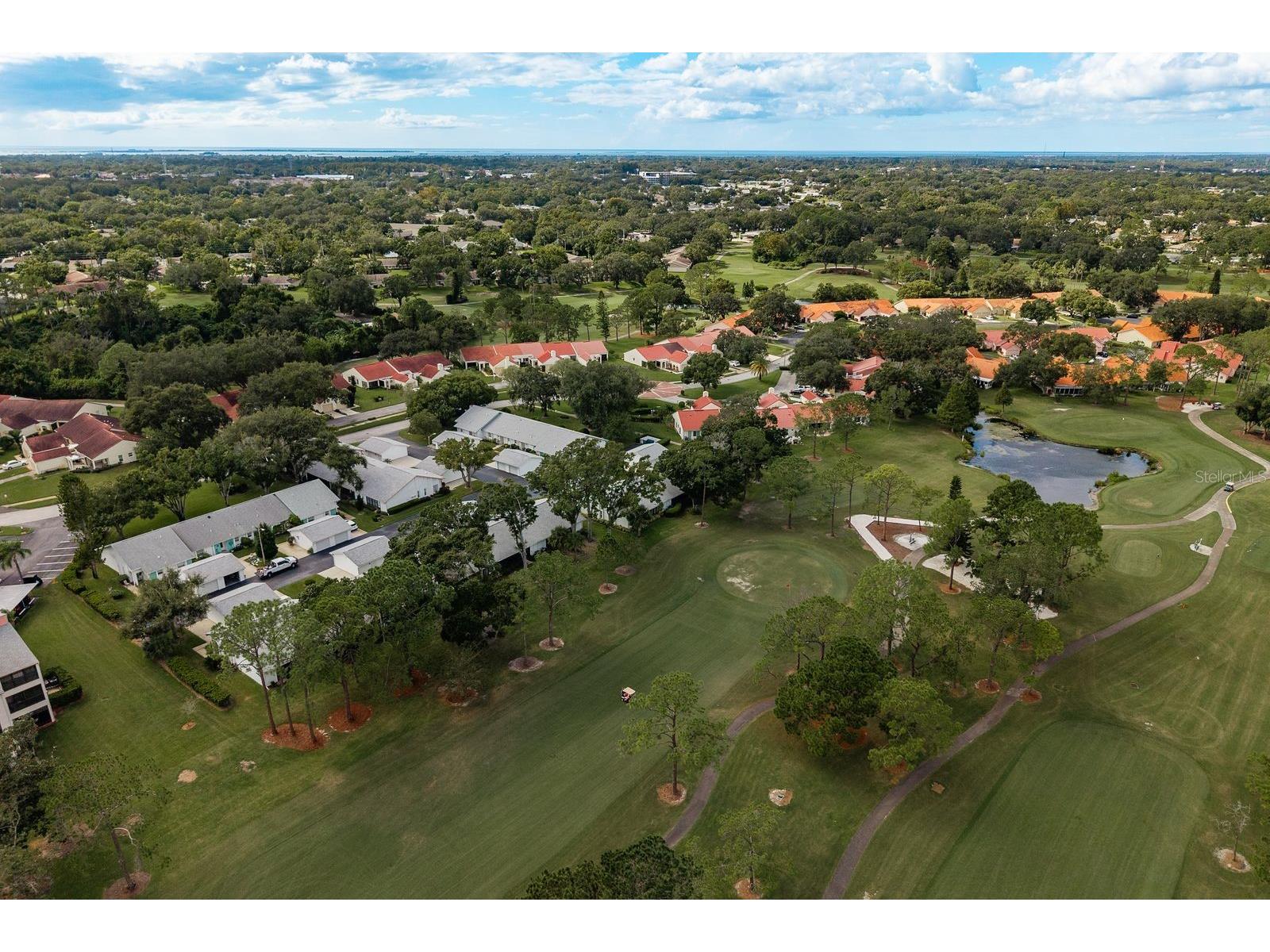 1109 Tartan Drive #C Palm Harbor FL 34684 - LAKE TARPON ACCESS TB8433661 image44