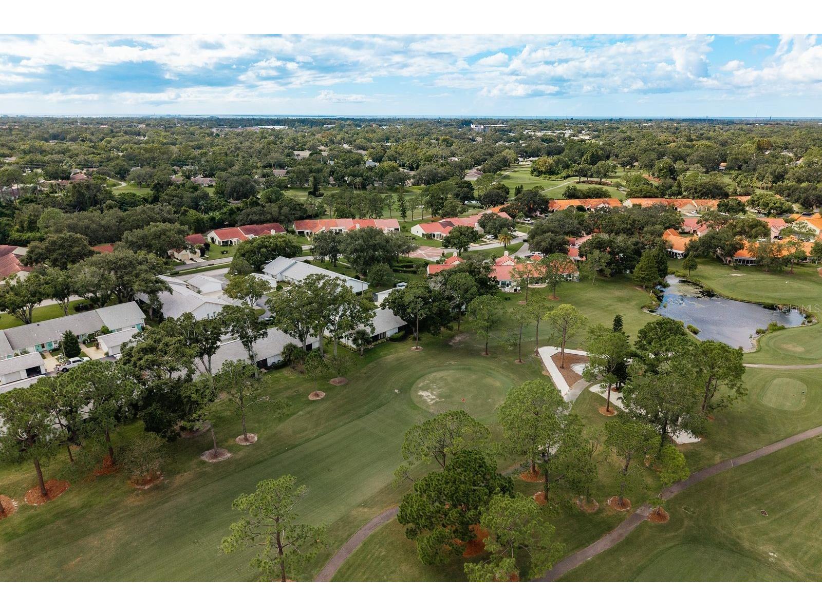 1109 Tartan Drive #C Palm Harbor FL 34684 - LAKE TARPON ACCESS TB8433661 image45