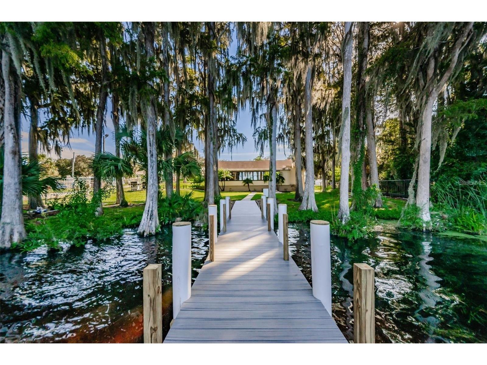 1109 Tartan Drive #C Palm Harbor FL 34684 - LAKE TARPON ACCESS TB8433661 image47