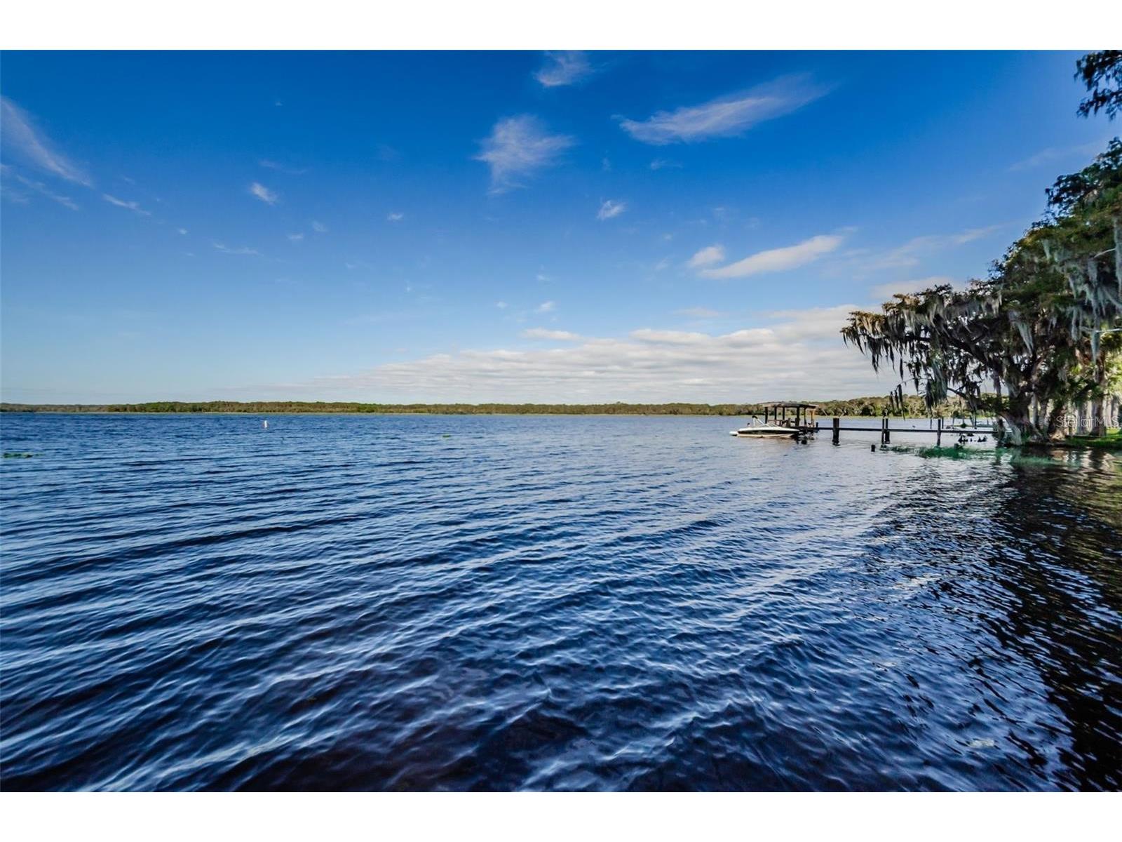 1109 Tartan Drive #C Palm Harbor FL 34684 - LAKE TARPON ACCESS TB8433661 image49