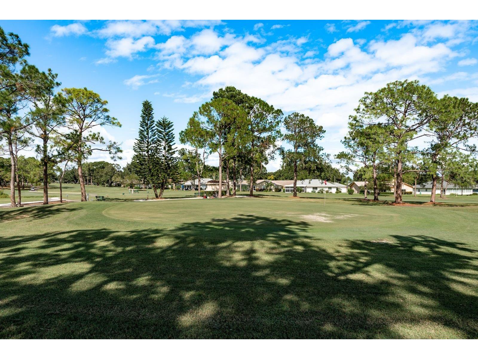 1109 Tartan Drive #C Palm Harbor FL 34684 - LAKE TARPON ACCESS TB8433661 image5