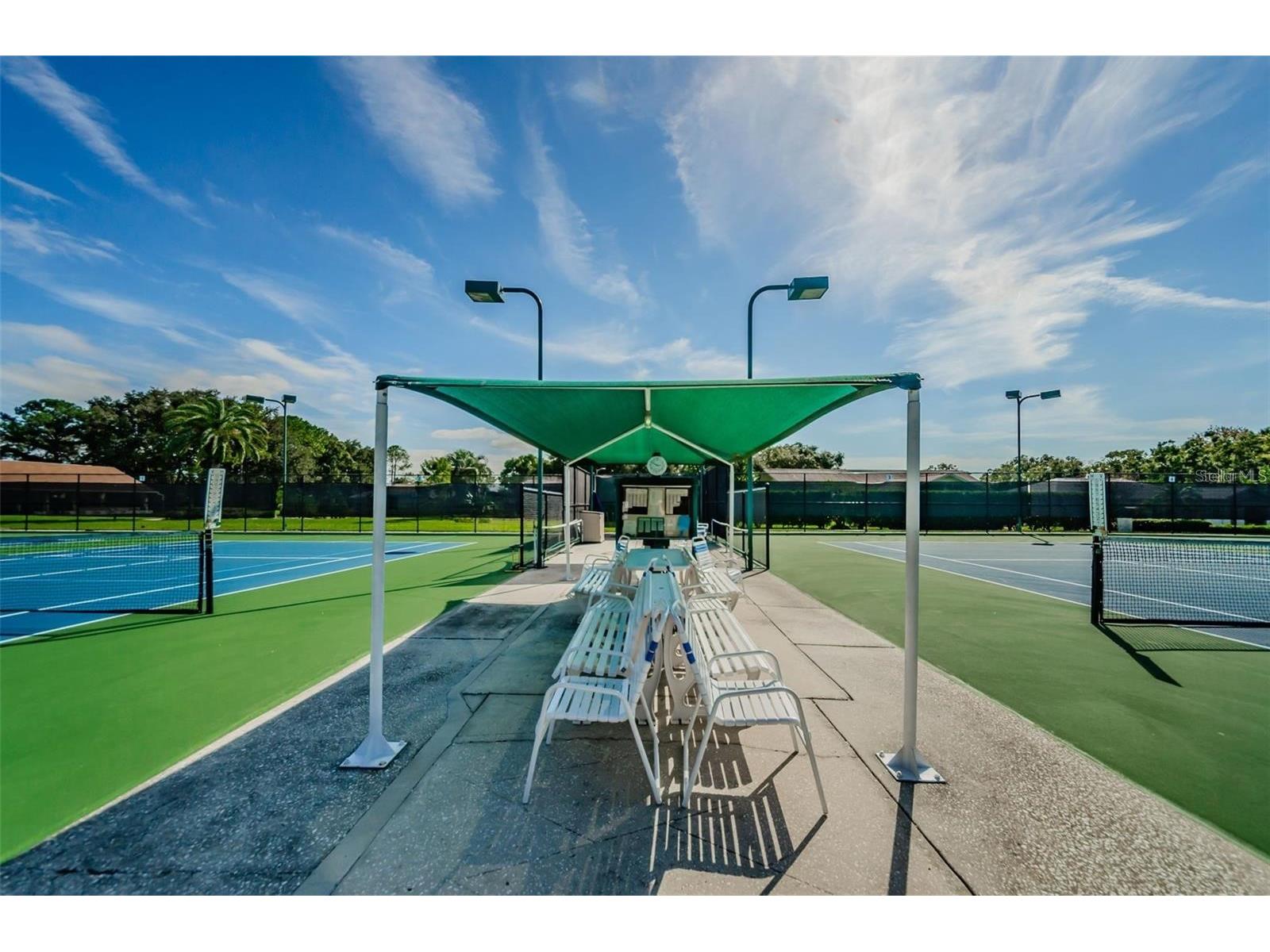 1109 Tartan Drive #C Palm Harbor FL 34684 - LAKE TARPON ACCESS TB8433661 image55