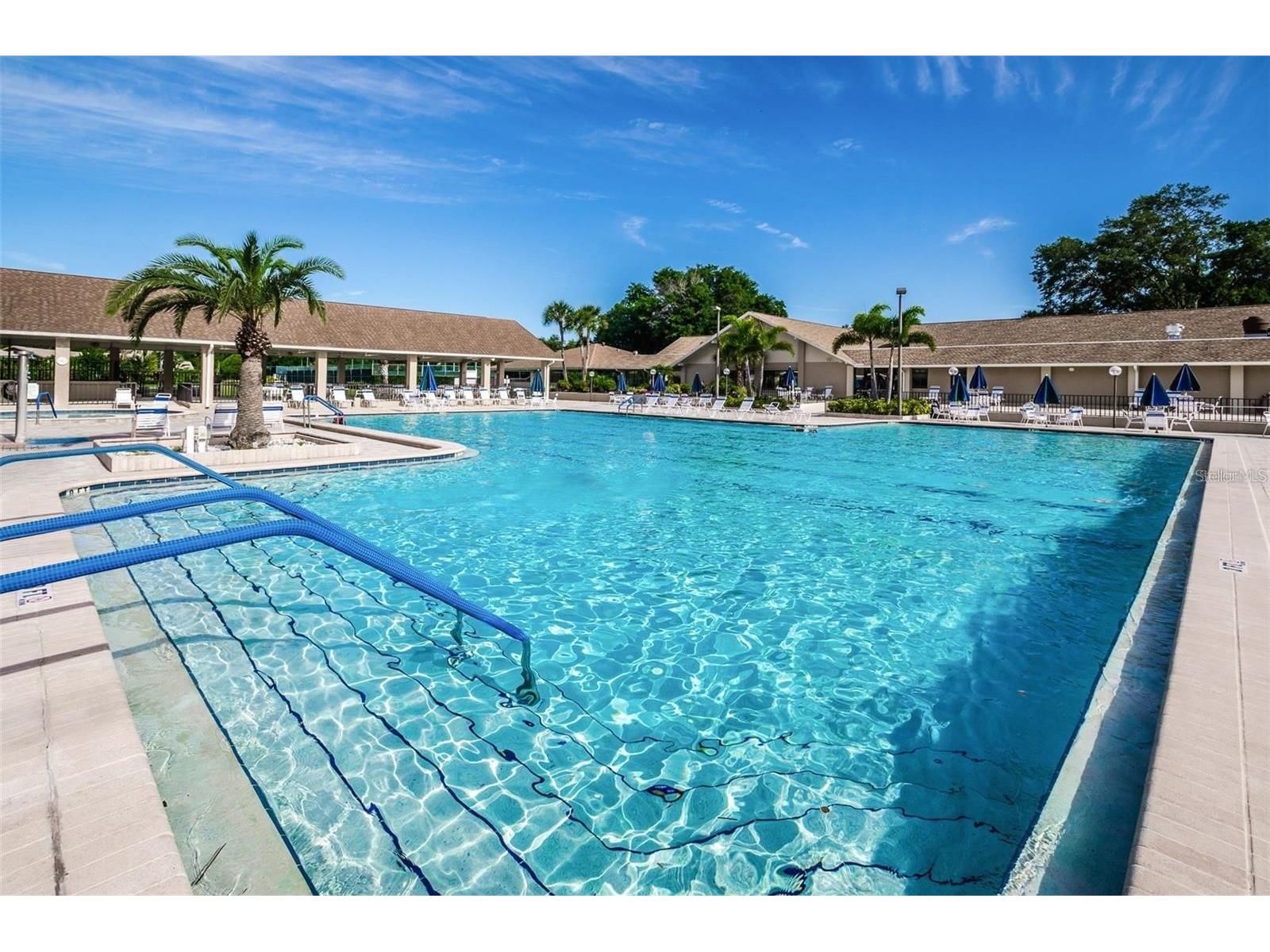 1109 Tartan Drive #C Palm Harbor FL 34684 - LAKE TARPON ACCESS TB8433661 image60