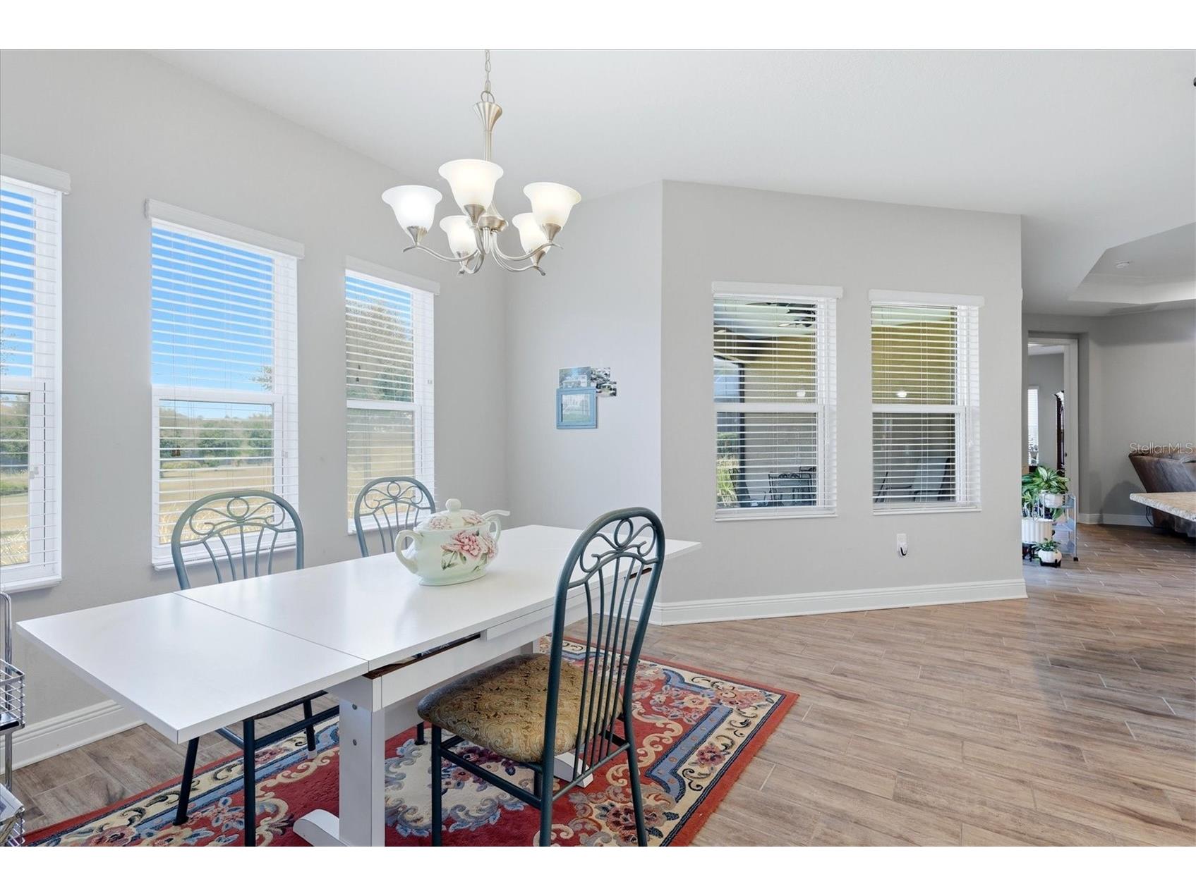 1109 Thornbury Drive Parrish FL 34219 A4698513 image20