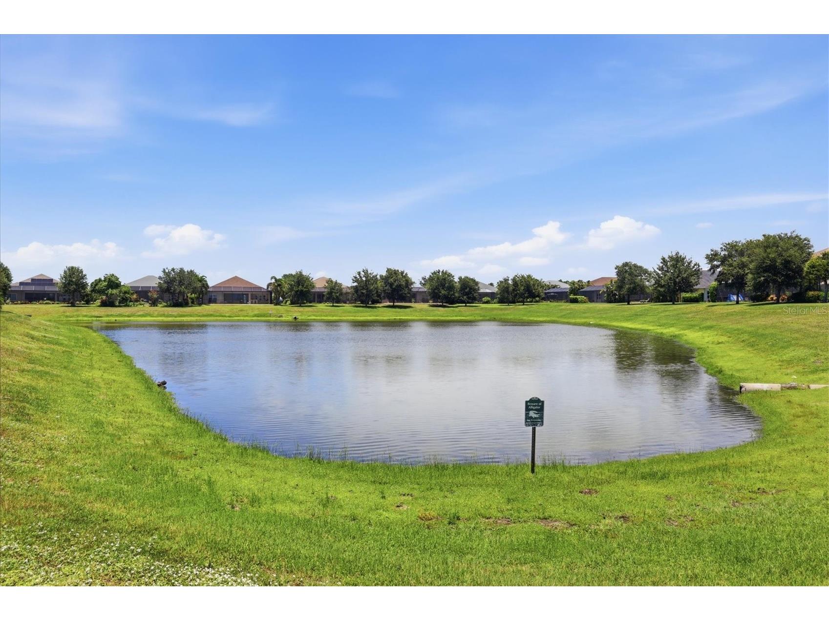 1109 Thornbury Drive Parrish FL 34219 A4698513 image43