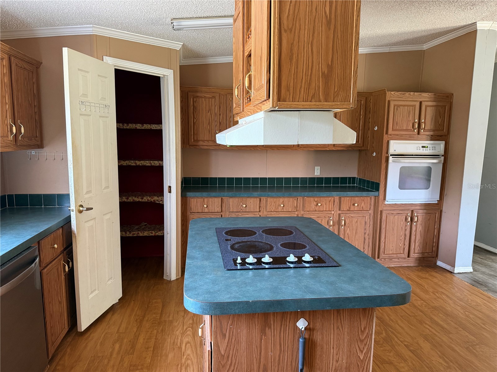 11090 SE 165th Terrace Road Ocklawaha FL 32179 V4948477 image19