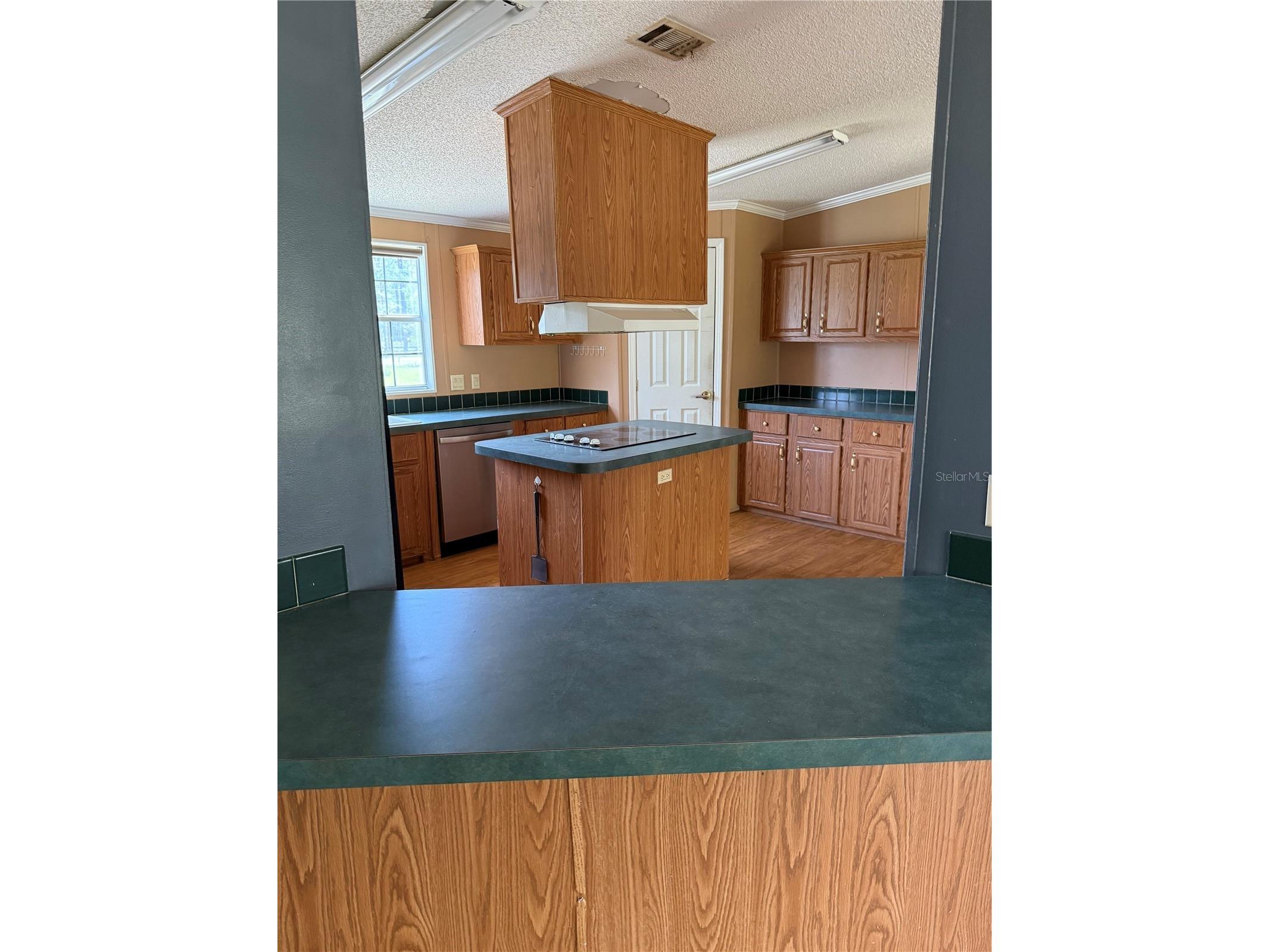11090 SE 165th Terrace Road Ocklawaha FL 32179 V4948477 image22