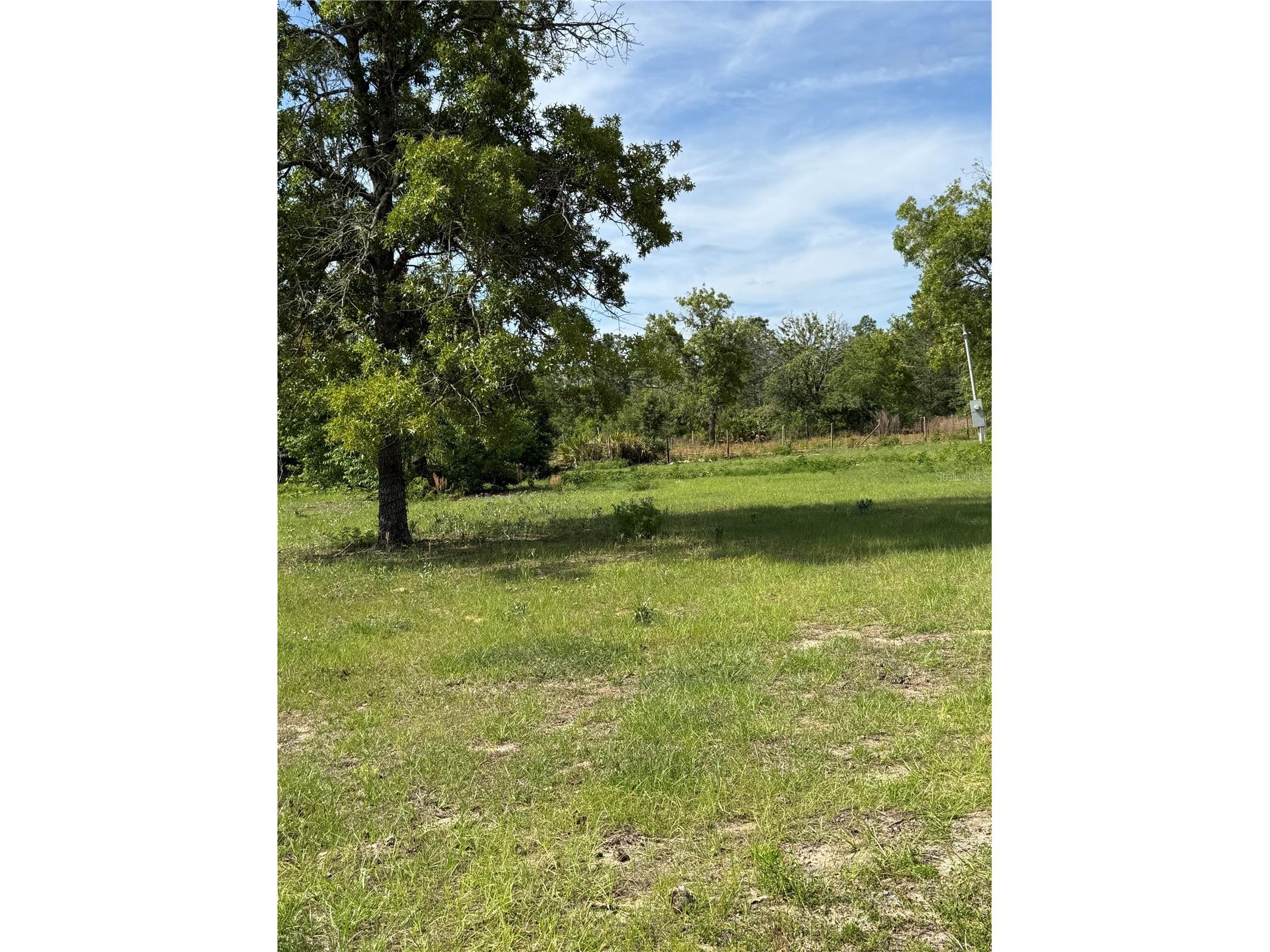 11090 SE 165th Terrace Road Ocklawaha FL 32179 V4948477 image31