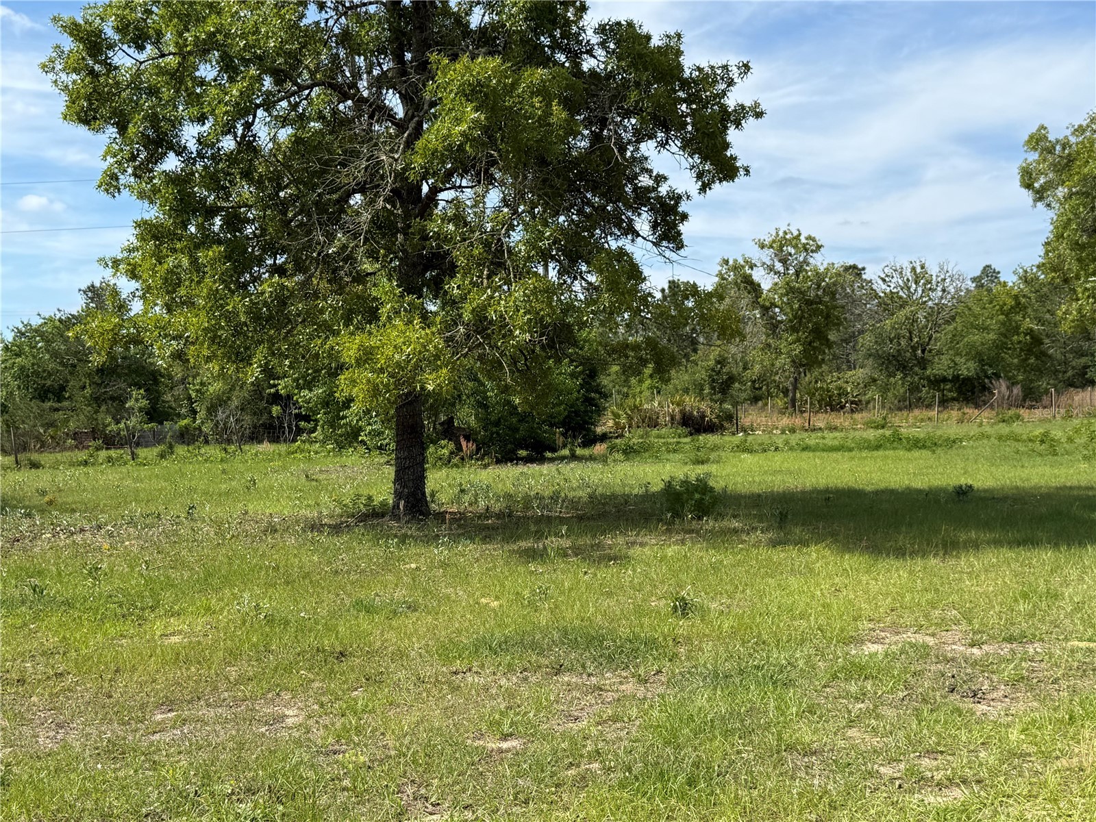 11090 SE 165th Terrace Road Ocklawaha FL 32179 V4948477 image32