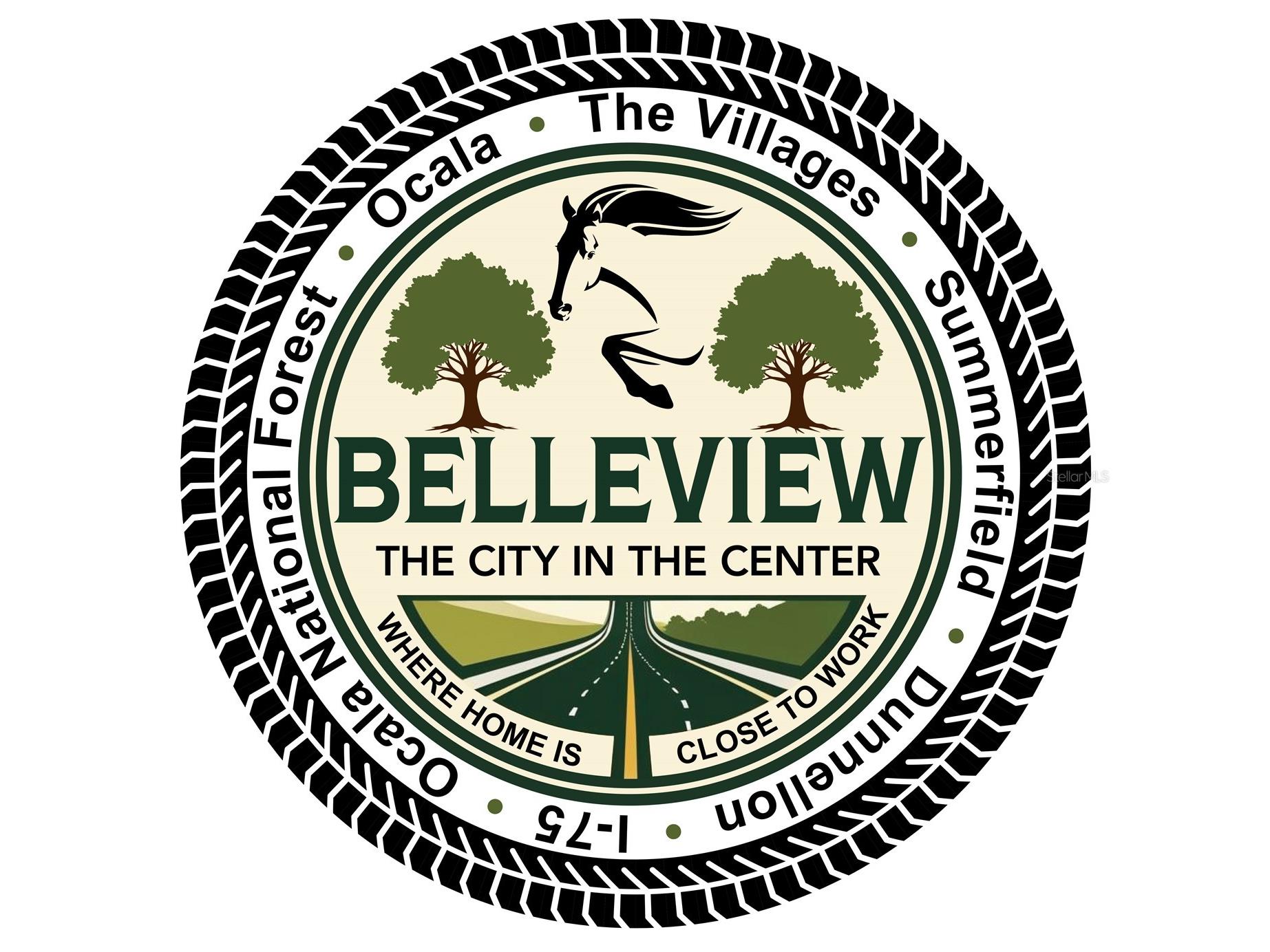 11090 SE 55th Avenue Road Belleview FL 34420 OM702639 image10