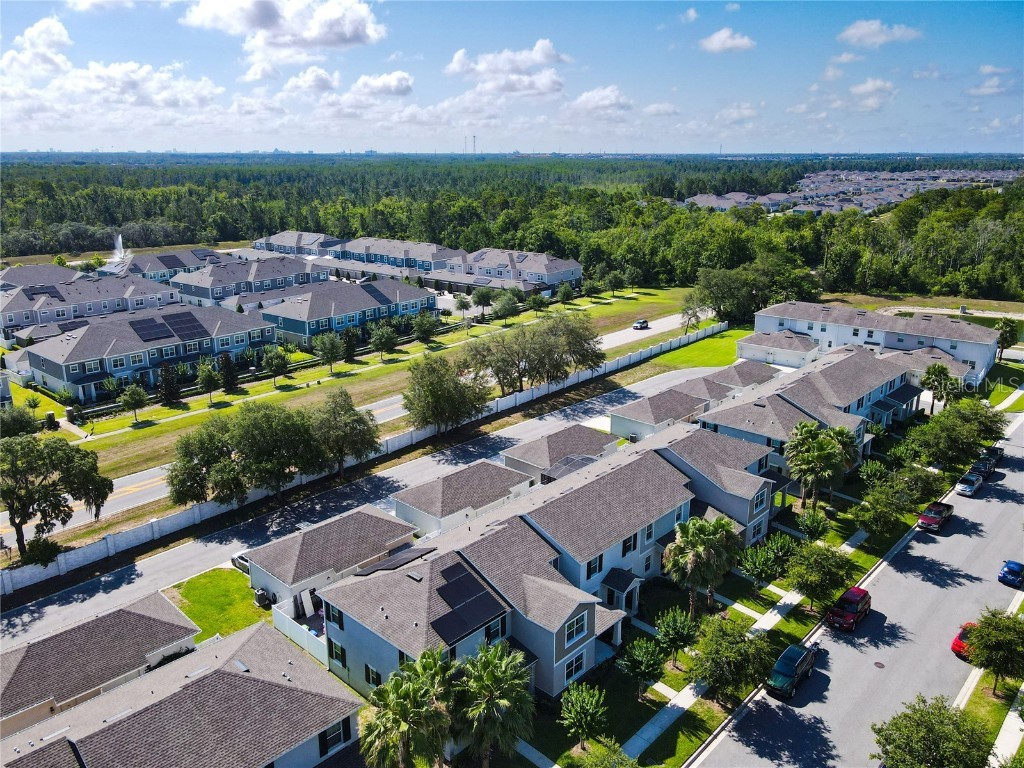 11091 Suspense Drive Winter Garden FL 34787 O6212356 image1