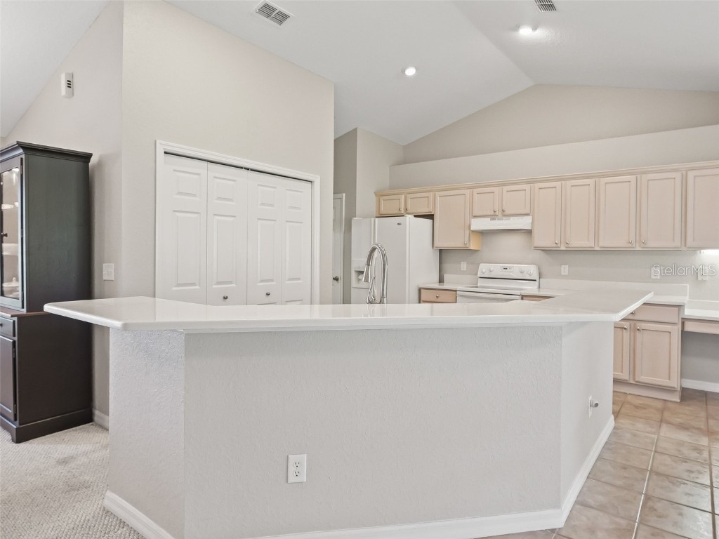 11092 SE 174th Loop Summerfield FL 34491 G5099267 image20