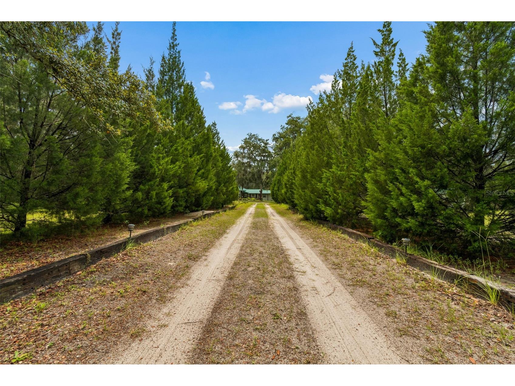 11094 SW 51st Drive Webster FL 33597 TB8523489 image3