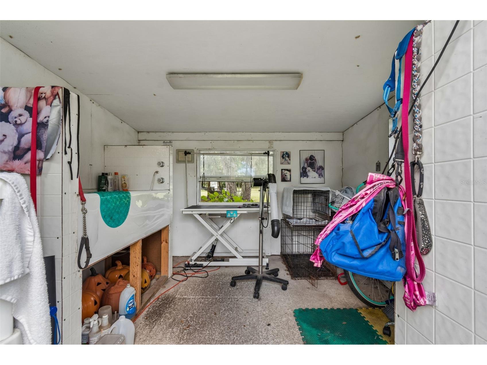 11094 SW 51st Drive Webster FL 33597 TB8523489 image61