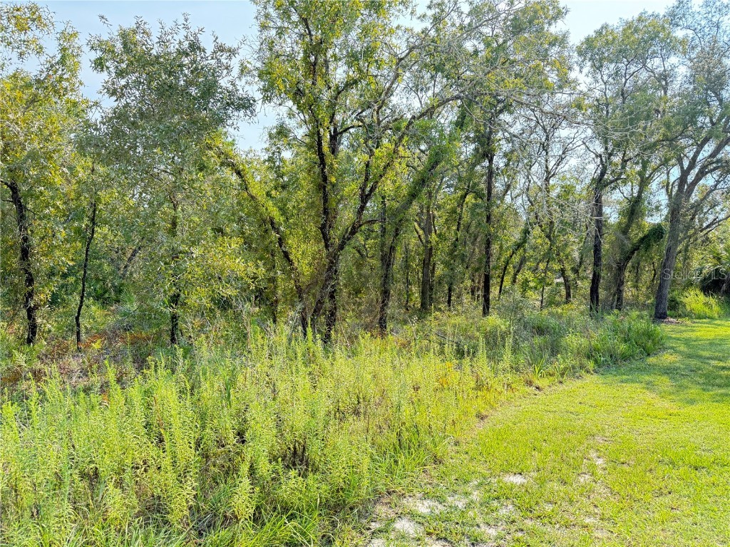 11096 Marsh Wren Avenue Weeki Wachee FL 34614 TB8420558 image1