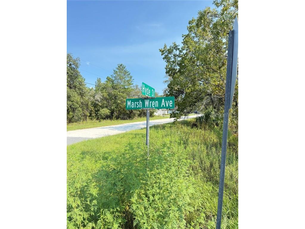 11096 Marsh Wren Avenue Weeki Wachee FL 34614 TB8420558 image2