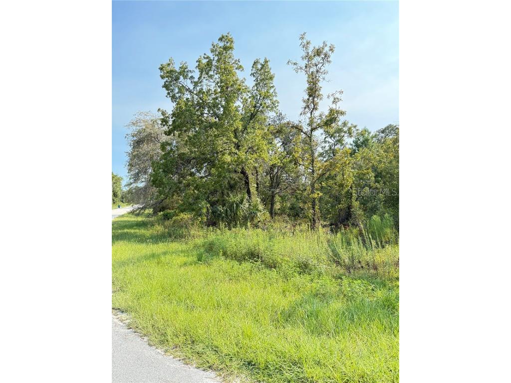 11096 Marsh Wren Avenue Weeki Wachee FL 34614 TB8420558 image3