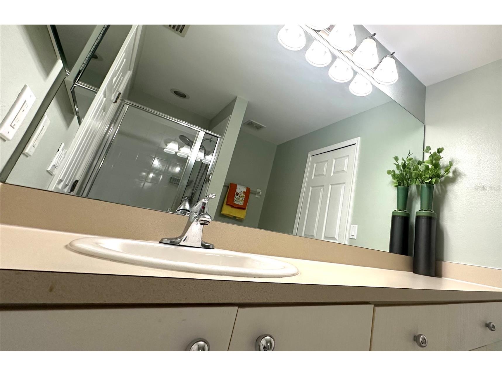 11096 Winter Crest Drive Riverview FL 33569 TB8525662 image12