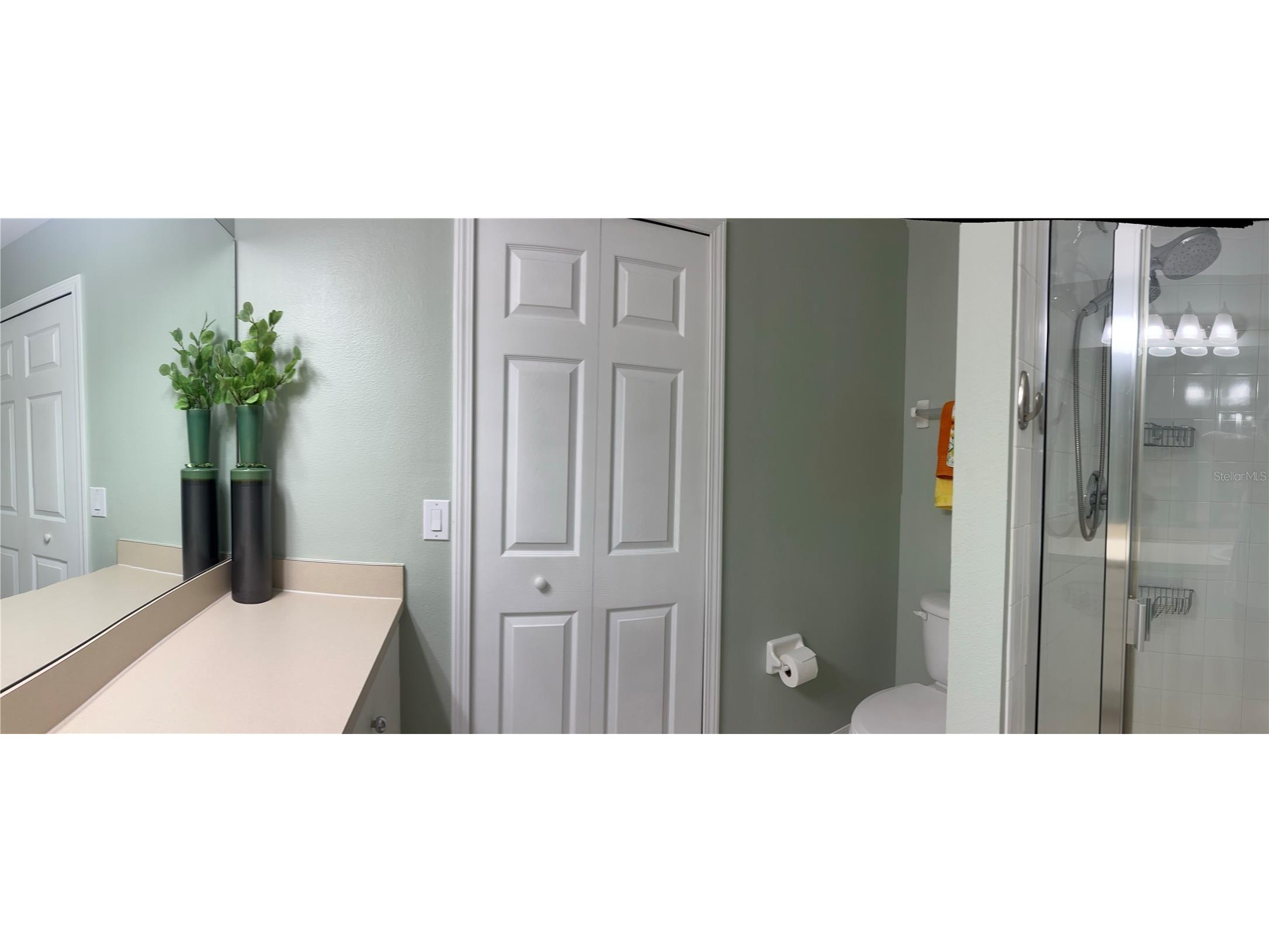 11096 Winter Crest Drive Riverview FL 33569 TB8525662 image13