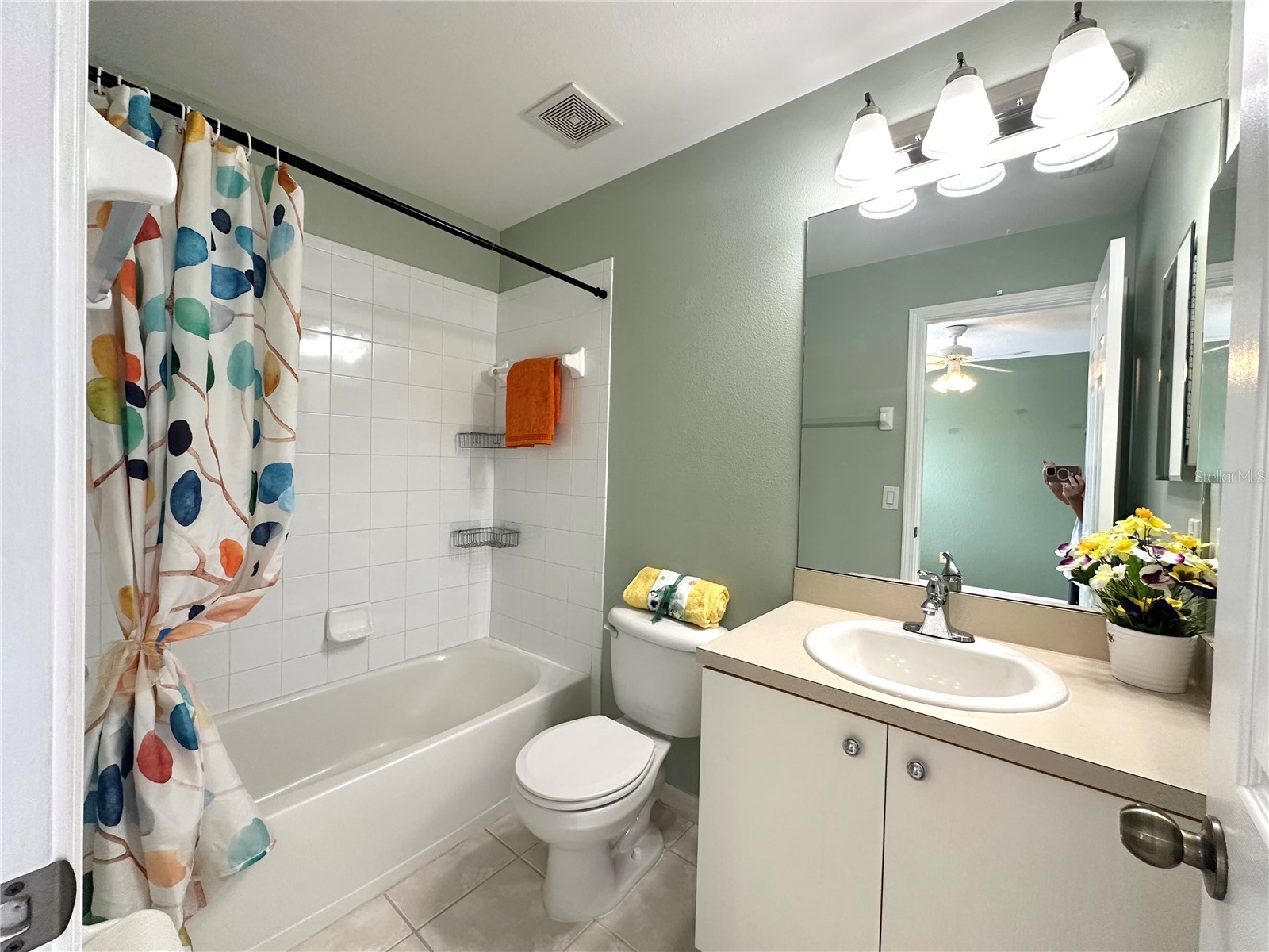 11096 Winter Crest Drive Riverview FL 33569 TB8525662 image9