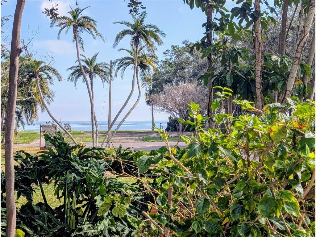 111 58th Avenue S Saint Petersburg FL 33705 - TAMPA BAY TB8456611 image7