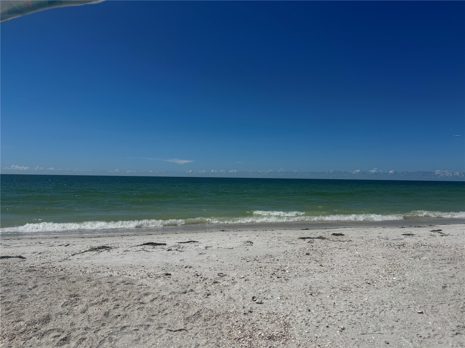 111 86th Avenue #1 Treasure Island FL 33706 TB8497317 image10