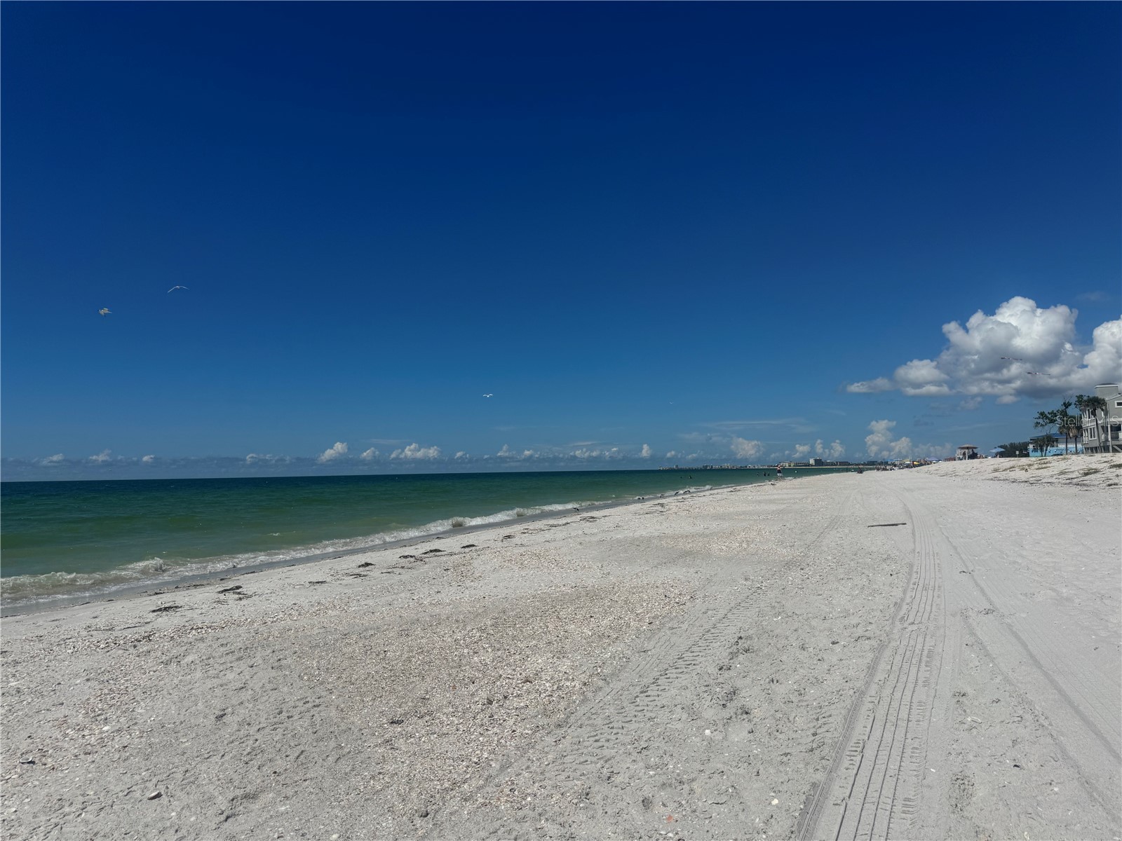 111 86th Avenue #1 Treasure Island FL 33706 TB8497317 image9