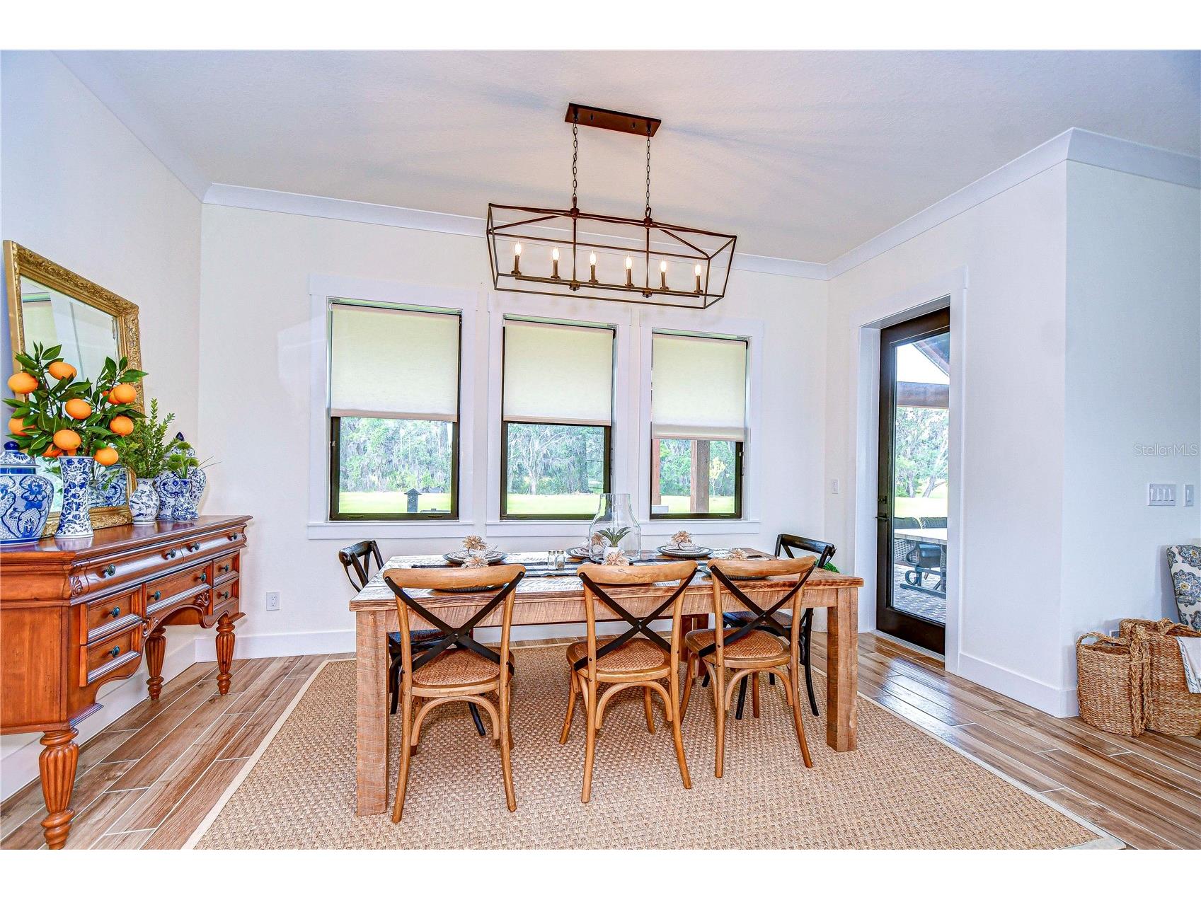 111 Alafia Estates Lane Lithia FL 33547 TB8480118 image19