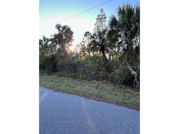 111 Bamboo Drive Port Charlotte FL 33954 - BAYSHORE WATERWAY D6140851 image2