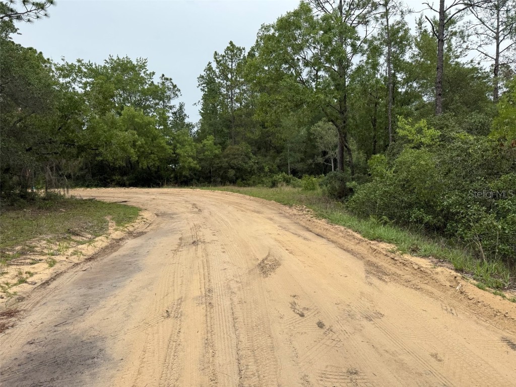 111 Brass Street Interlachen FL 32148 OK225224 image2