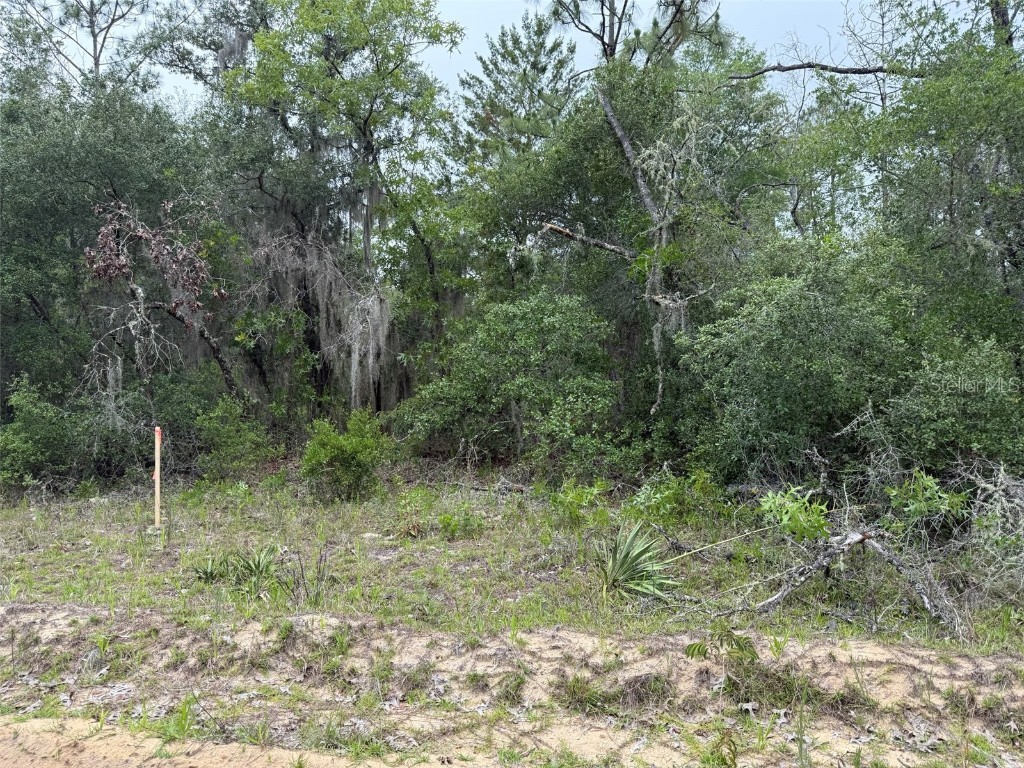 111 Brass Street Interlachen FL 32148 OK225224 image3