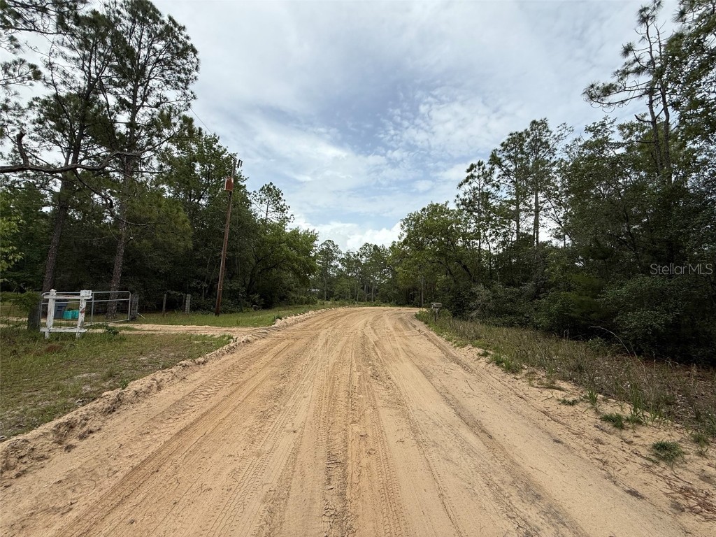 111 Brass Street Interlachen FL 32148 OK225224 image5