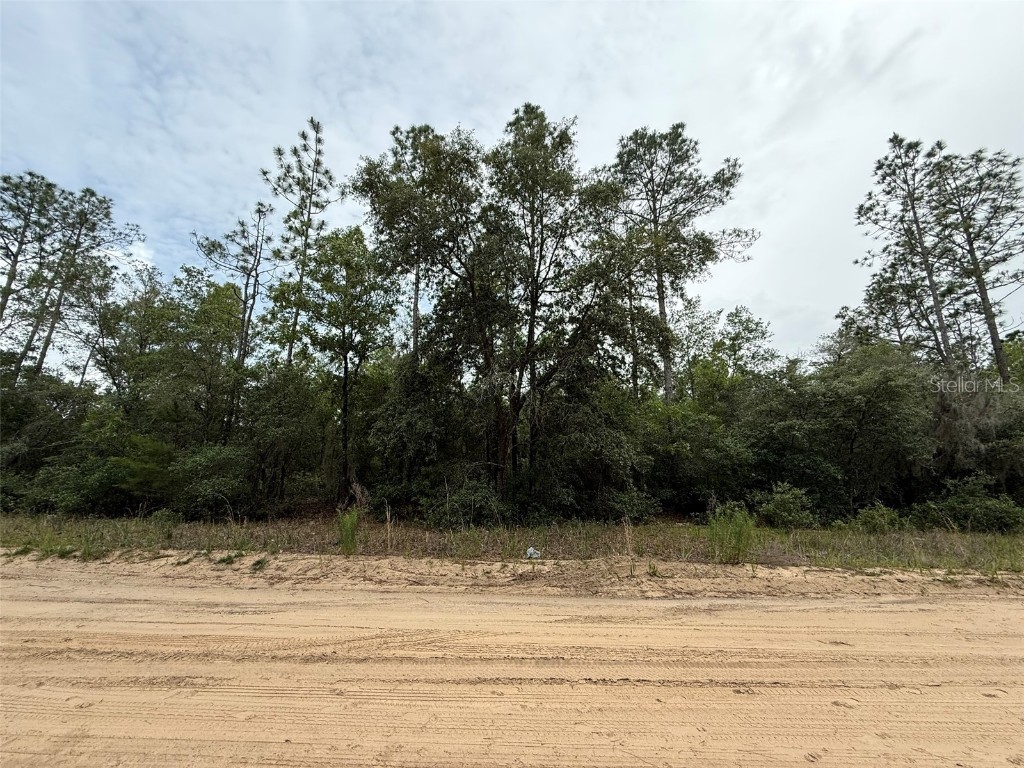 111 Brass Street Interlachen FL 32148 OK225224 image6