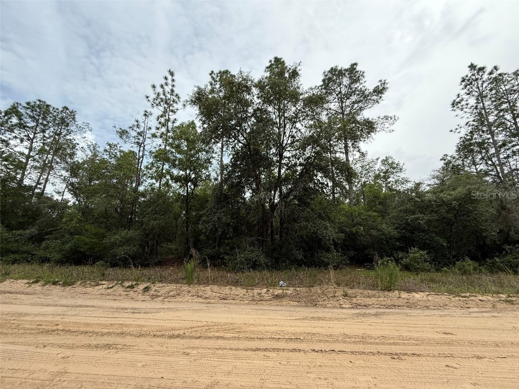 111 Brass Street Interlachen FL 32148 OK225224 image7