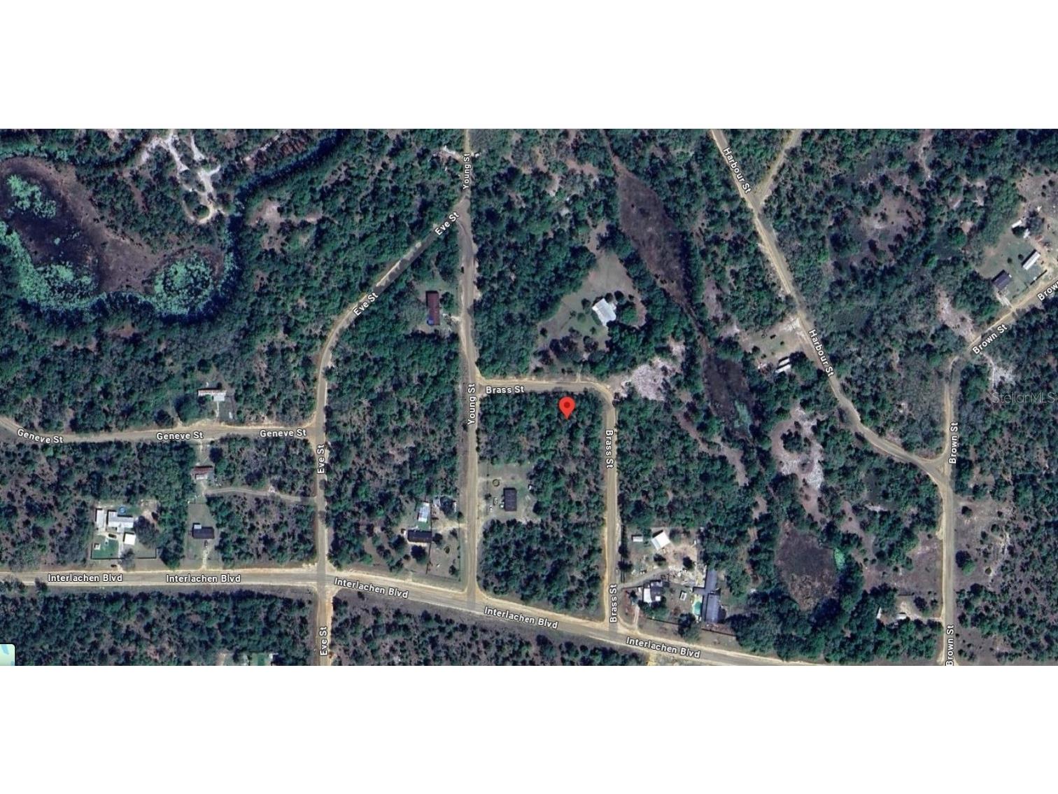 111 Brass Street Interlachen FL 32148 OK225224 image8