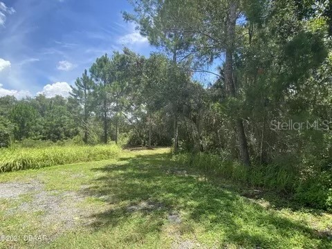 111 Butler Ridge Court Deltona FL 32738 O6299139 image4