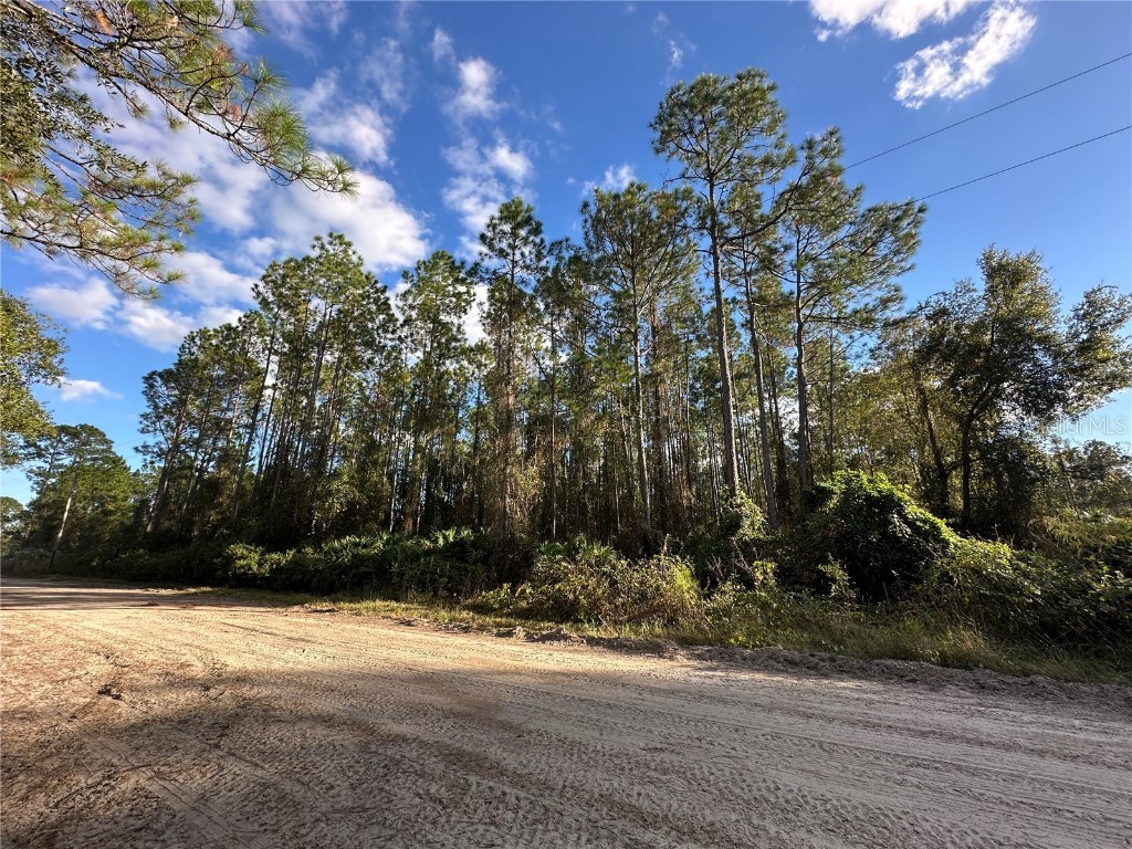 111 Camp Road Palatka FL 32177 FC305879 image1
