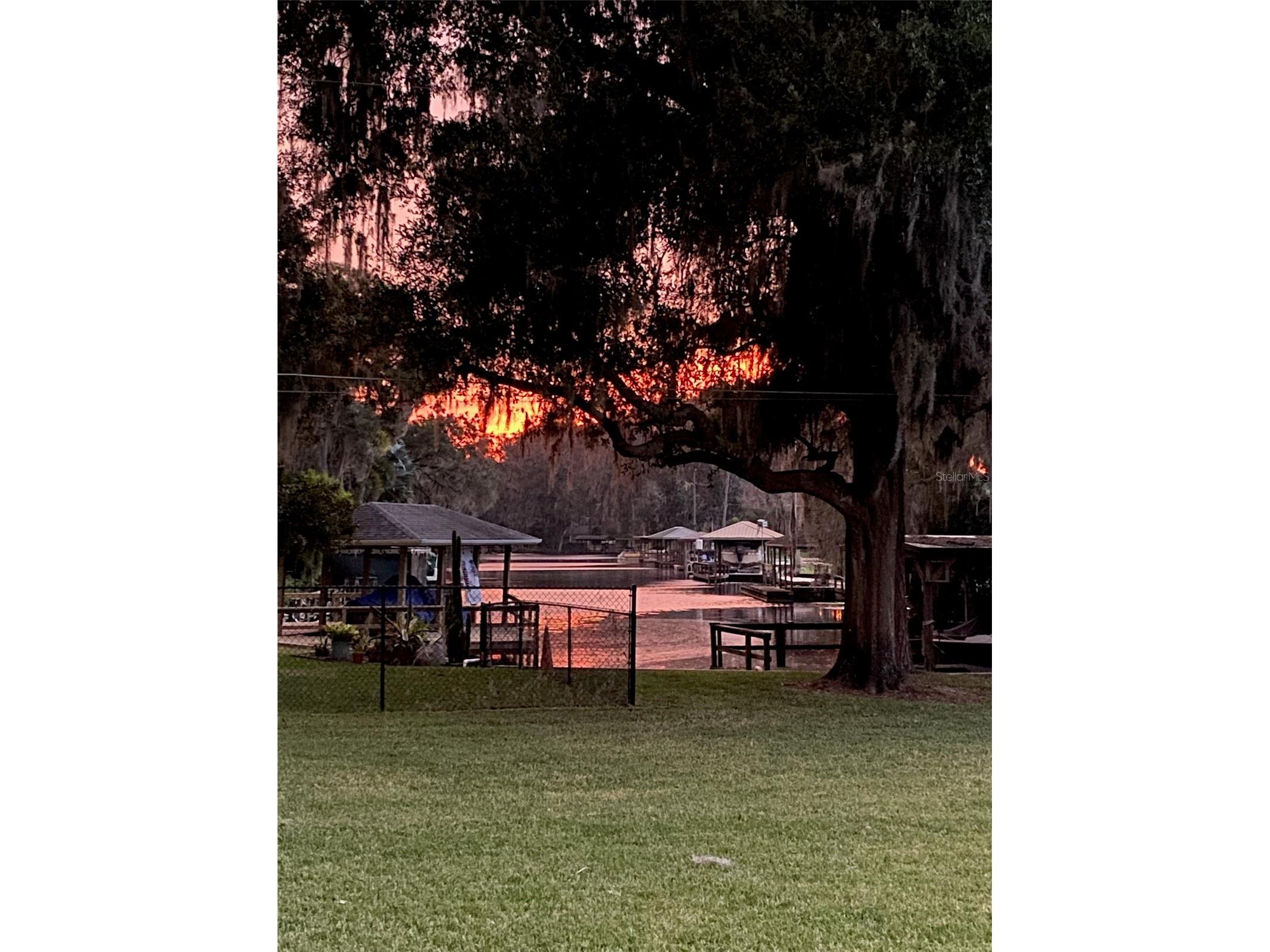 111 Cardinal Lane Eustis FL 32726 - LAKE EUSTIS G5109605 image1