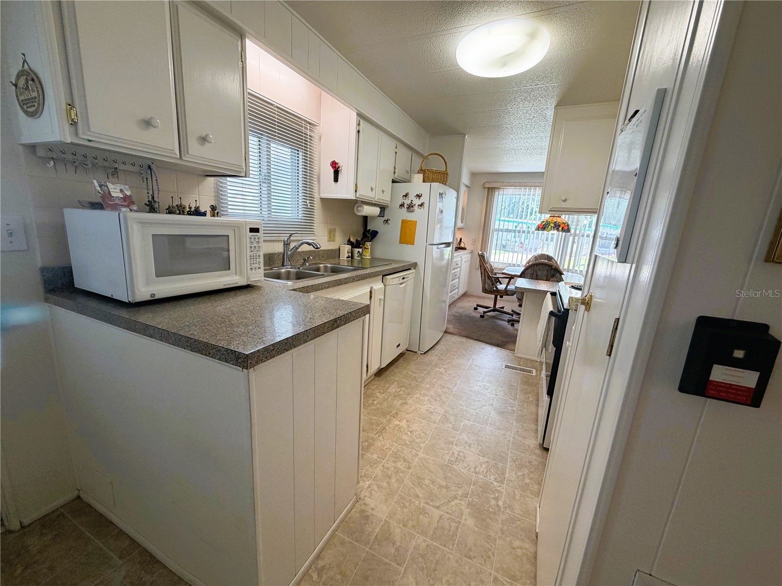 111 Chestnut Street Leesburg FL 34748 R4911297 image4