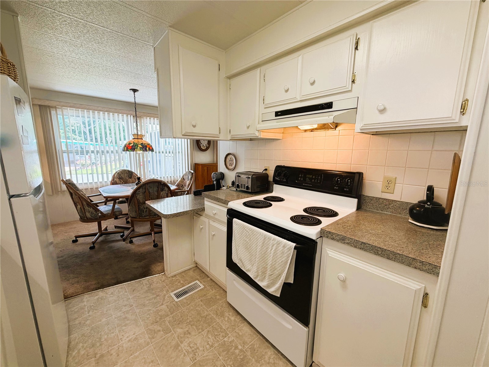 111 Chestnut Street Leesburg FL 34748 R4911297 image7