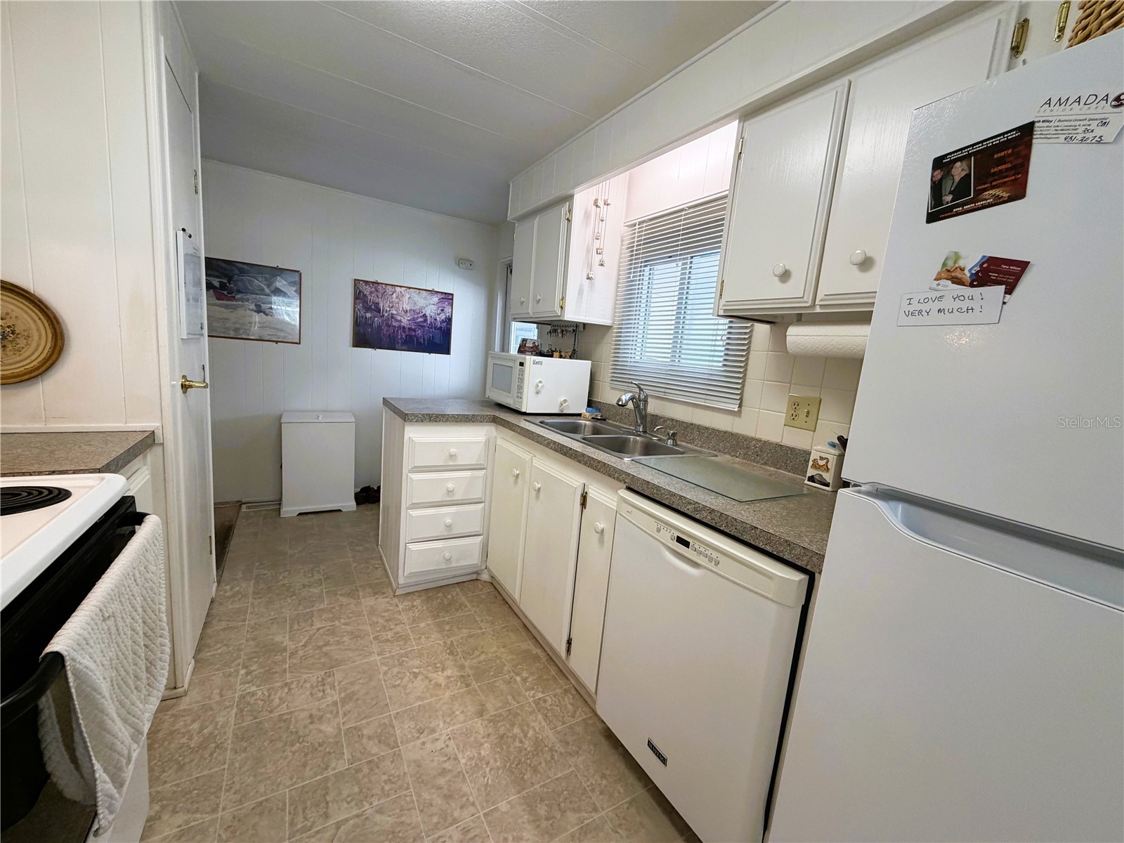 111 Chestnut Street Leesburg FL 34748 R4911297 image8