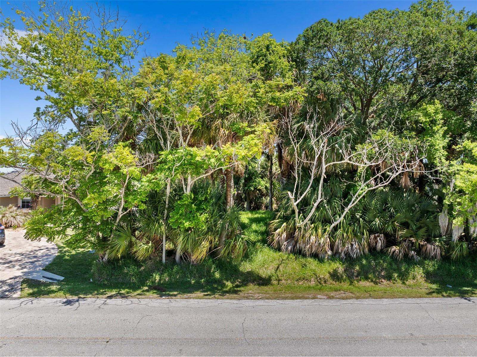 111 Cimmaron Drive Palm Coast FL 32137 W7886123 image16