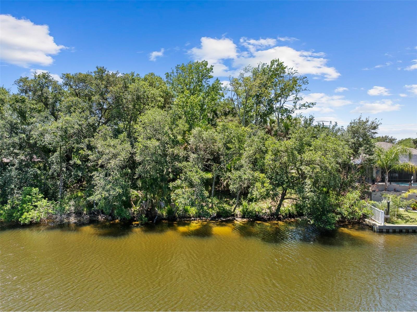 111 Cimmaron Drive Palm Coast FL 32137 W7886123 image2