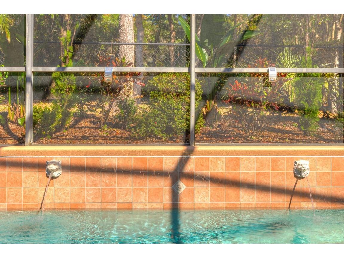 111 Cinnamon Oak Drive Deland FL 32724 V4945961 image39