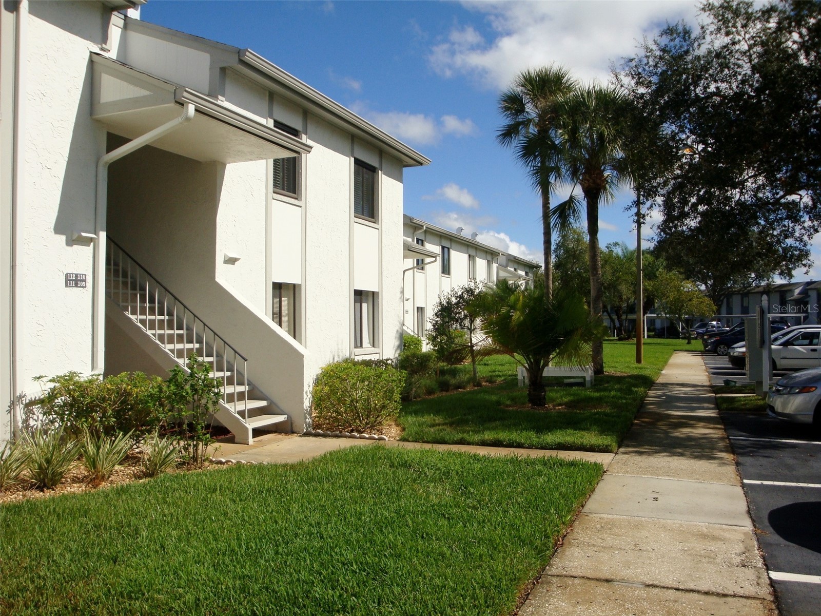 111 E Cypress Court #111 Oldsmar FL 34677 TB8499374 image1