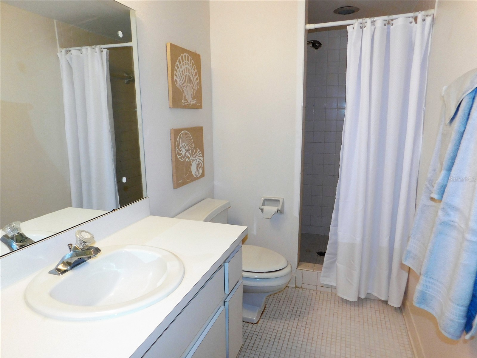 111 E Cypress Court #111 Oldsmar FL 34677 TB8499374 image13