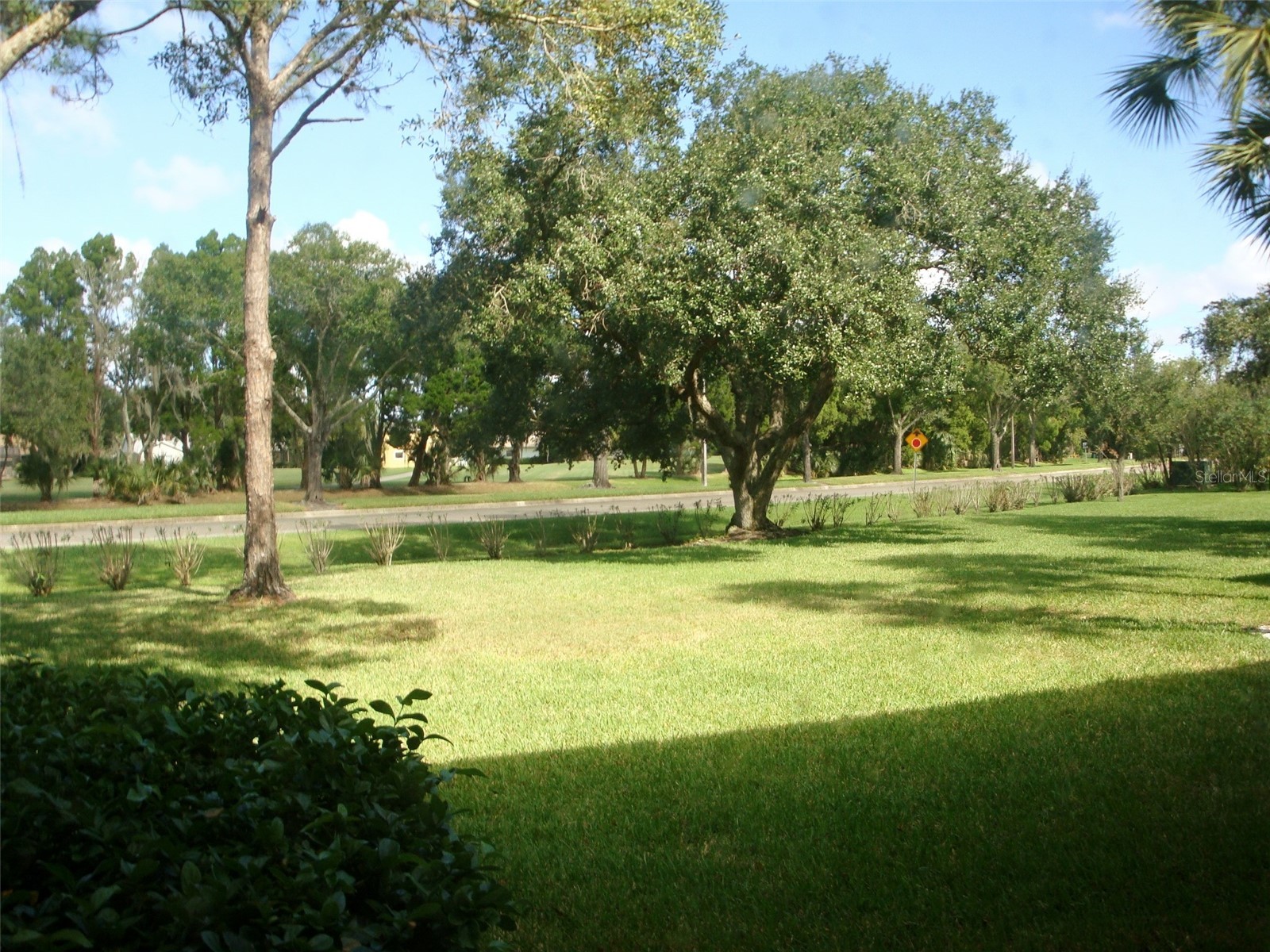 111 E Cypress Court #111 Oldsmar FL 34677 TB8499374 image19