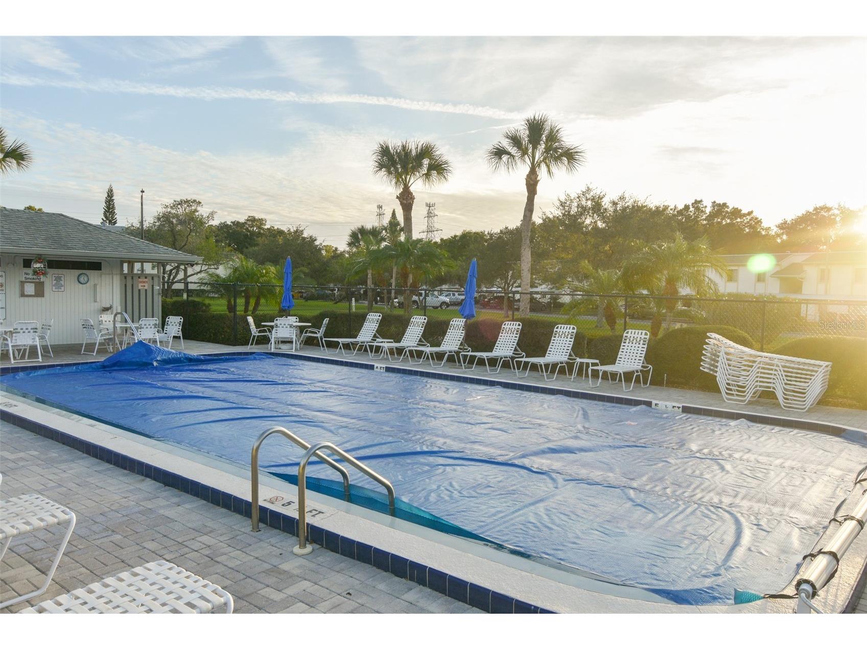 111 E Cypress Court #111 Oldsmar FL 34677 TB8499374 image20