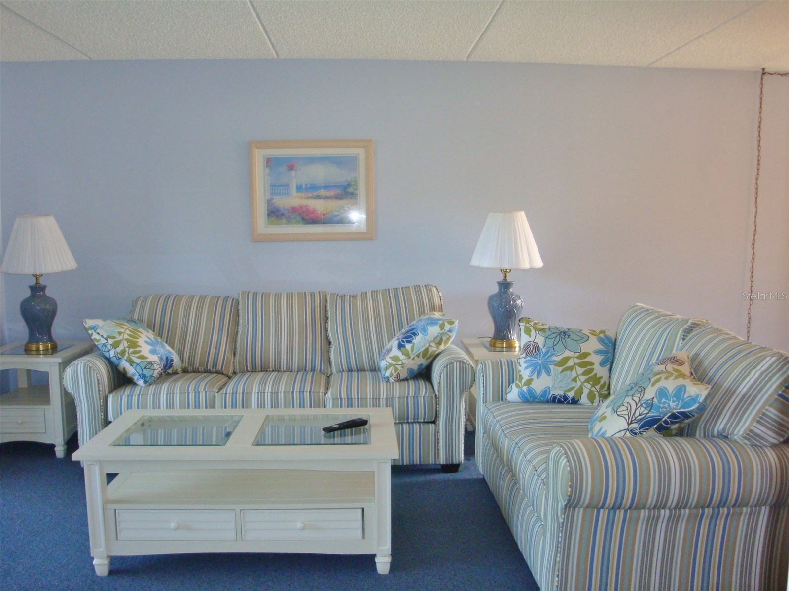 111 E Cypress Court #111 Oldsmar FL 34677 TB8499374 image5